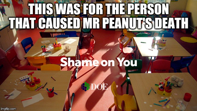 Shame on you | THIS WAS FOR THE PERSON THAT CAUSED MR PEANUT'S DEATH | image tagged in shame on you | made w/ Imgflip meme maker