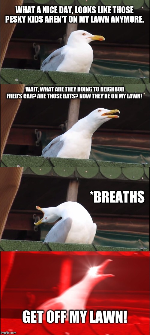 Inhaling Seagull | WHAT A NICE DAY, LOOKS LIKE THOSE PESKY KIDS AREN'T ON MY LAWN ANYMORE. WAIT, WHAT ARE THEY DOING TO NEIGHBOR FRED'S CAR? ARE THOSE BATS? NOW THEY'RE ON MY LAWN! *BREATHS; GET OFF MY LAWN! | image tagged in memes,inhaling seagull | made w/ Imgflip meme maker