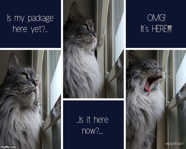 JasperBluee Waiting Meme | image tagged in jasperbluee waiting meme | made w/ Imgflip meme maker