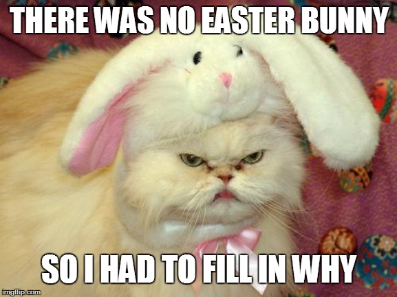 easter cat | THERE WAS NO EASTER BUNNY; SO I HAD TO FILL IN WHY | image tagged in easter cat | made w/ Imgflip meme maker