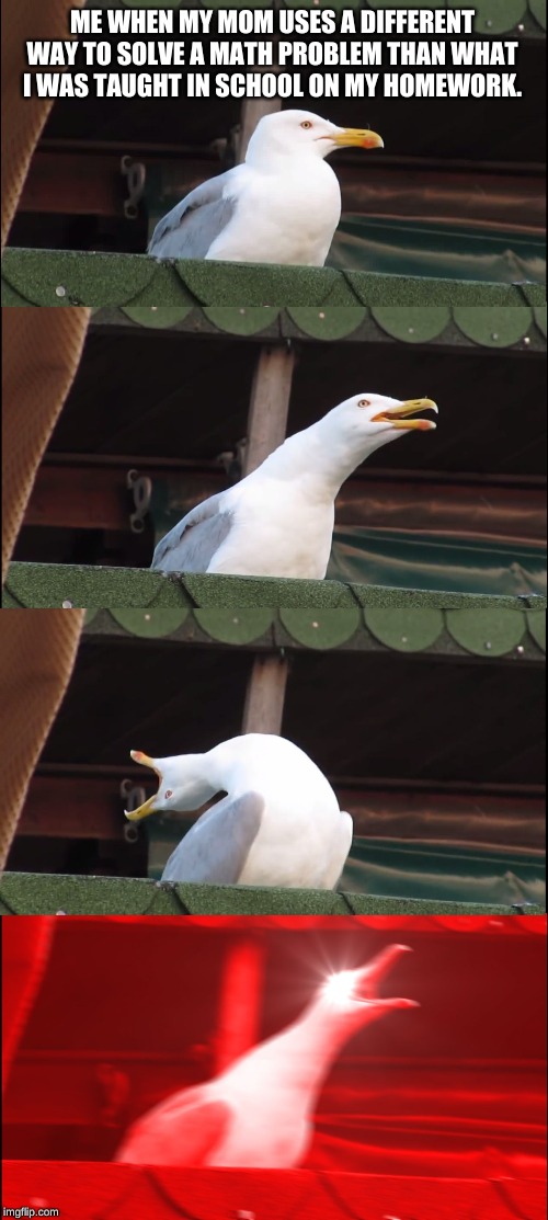 Inhaling Seagull | ME WHEN MY MOM USES A DIFFERENT WAY TO SOLVE A MATH PROBLEM THAN WHAT I WAS TAUGHT IN SCHOOL ON MY HOMEWORK. | image tagged in memes,inhaling seagull | made w/ Imgflip meme maker