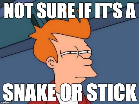 Futurama Fry Meme | NOT SURE IF IT'S A; SNAKE OR STICK | image tagged in memes,futurama fry | made w/ Imgflip meme maker