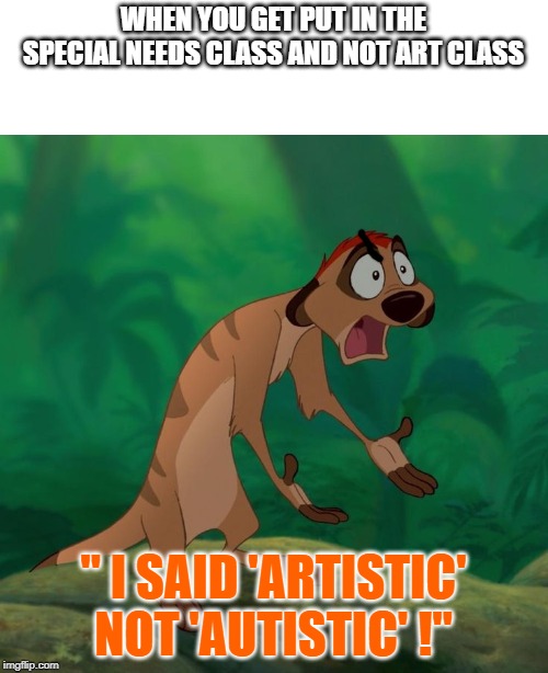 Timon exasperated |  WHEN YOU GET PUT IN THE SPECIAL NEEDS CLASS AND NOT ART CLASS; " I SAID 'ARTISTIC' NOT 'AUTISTIC' !" | image tagged in timon exasperated | made w/ Imgflip meme maker