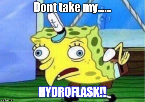 Mocking Spongebob | Dont take my...... HYDROFLASK!! | image tagged in memes,mocking spongebob | made w/ Imgflip meme maker