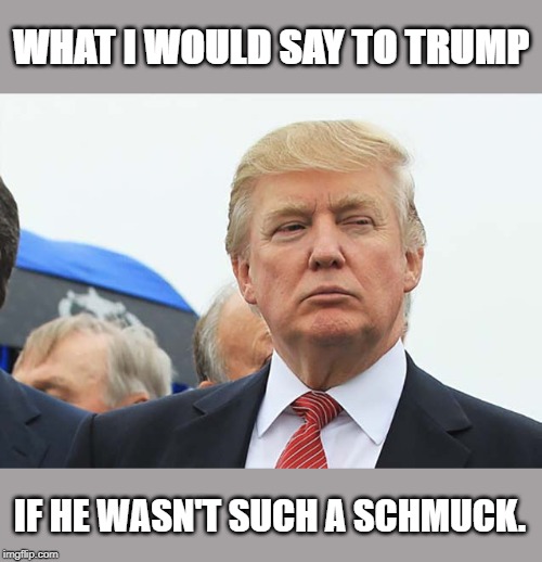 #TrumpShit | WHAT I WOULD SAY TO TRUMP; IF HE WASN'T SUCH A SCHMUCK. | image tagged in trumpshit | made w/ Imgflip meme maker