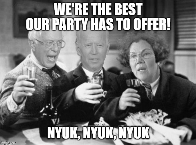 Democrat Stooges |  WE'RE THE BEST OUR PARTY HAS TO OFFER! NYUK, NYUK, NYUK | image tagged in three democrat stooges,politics,memes,slapstick,don't take seriously | made w/ Imgflip meme maker