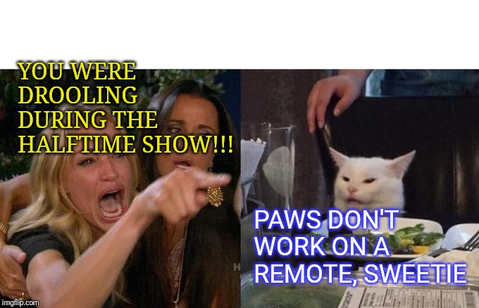 Woman Yelling At Cat Meme | YOU WERE DROOLING DURING THE HALFTIME SHOW!!! PAWS DON'T WORK ON A REMOTE, SWEETIE | image tagged in memes,woman yelling at cat | made w/ Imgflip meme maker