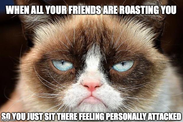 Grumpy Cat Not Amused | WHEN ALL YOUR FRIENDS ARE ROASTING YOU; SO YOU JUST SIT THERE FEELING PERSONALLY ATTACKED | image tagged in memes,grumpy cat not amused,grumpy cat | made w/ Imgflip meme maker