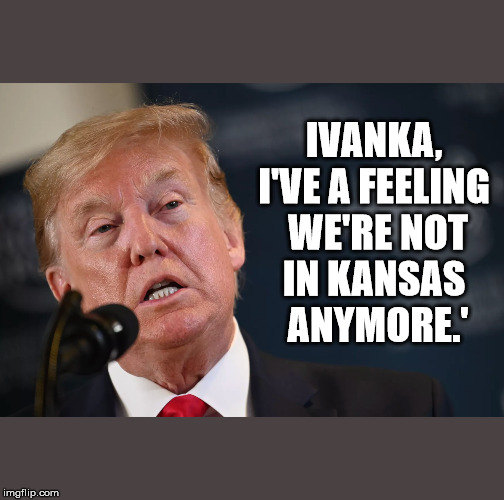 trump | IVANKA, 
I'VE A FEELING 
WE'RE NOT IN KANSAS 
ANYMORE.' | image tagged in trump | made w/ Imgflip meme maker