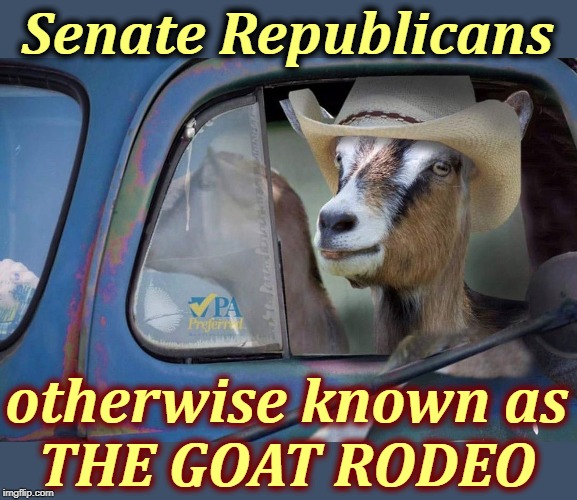 Don't bring your tin cans to town. If Trump's numbers aren't better by Labor Day, GOP senators will save themselves first. | Senate Republicans; otherwise known as
THE GOAT RODEO | image tagged in senate,republican,goats,blackmail,bullying,impeachment | made w/ Imgflip meme maker