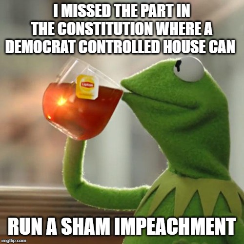 But That's None Of My Business Meme | I MISSED THE PART IN THE CONSTITUTION WHERE A DEMOCRAT CONTROLLED HOUSE CAN RUN A SHAM IMPEACHMENT | image tagged in memes,but thats none of my business,kermit the frog | made w/ Imgflip meme maker