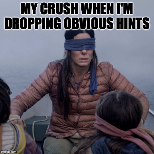Bird Box Meme | MY CRUSH WHEN I'M DROPPING OBVIOUS HINTS | image tagged in memes,bird box | made w/ Imgflip meme maker