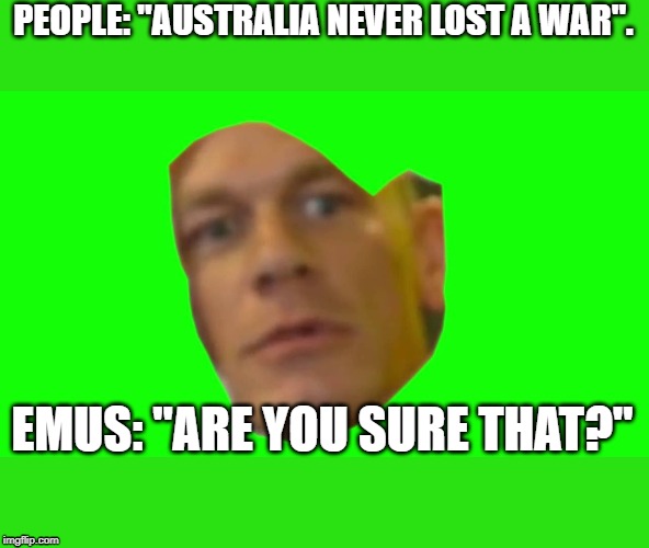 Are you sure about that? (Cena) | PEOPLE: "AUSTRALIA NEVER LOST A WAR". EMUS: "ARE YOU SURE THAT?" | image tagged in are you sure about that cena | made w/ Imgflip meme maker