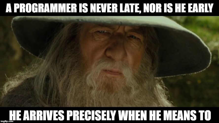 A Programmer Is Never Late |  A PROGRAMMER IS NEVER LATE, NOR IS HE EARLY; HE ARRIVES PRECISELY WHEN HE MEANS TO | image tagged in programmers,gandolf,never late | made w/ Imgflip meme maker