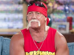 hulk hogan 3 Blank Meme Template