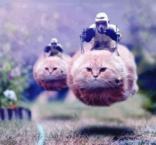 Hovercats | image tagged in hovercats | made w/ Imgflip meme maker