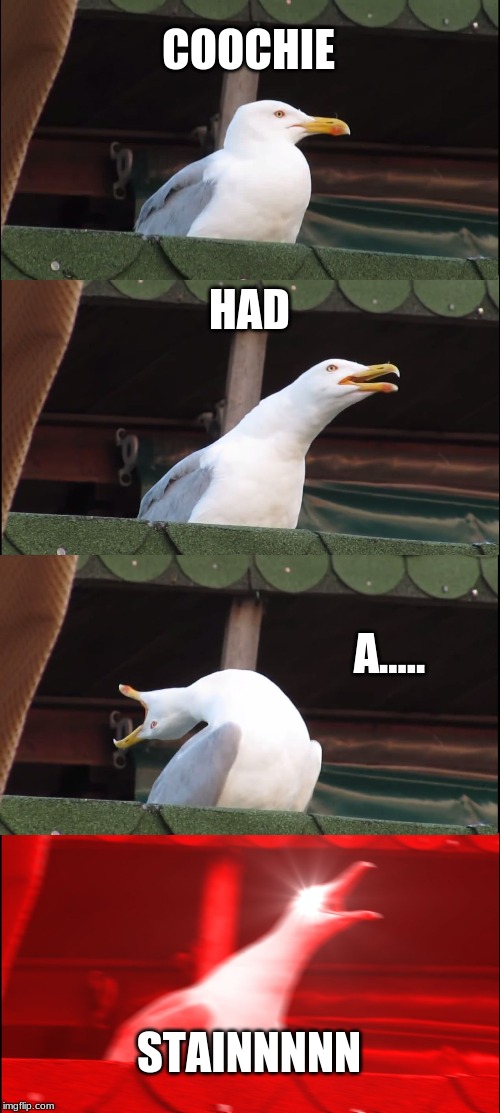 Inhaling Seagull Meme | COOCHIE; HAD; A..... STAINNNNN | image tagged in memes,inhaling seagull | made w/ Imgflip meme maker