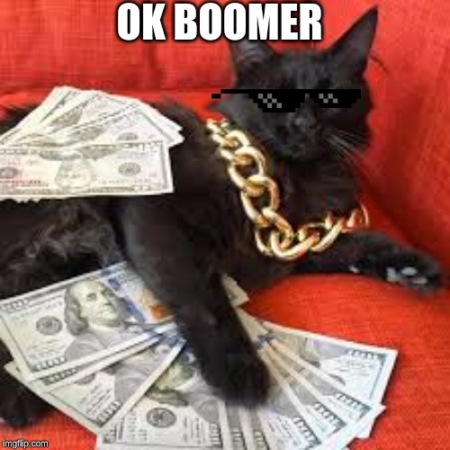 visco cat | OK BOOMER | image tagged in visco cat | made w/ Imgflip meme maker