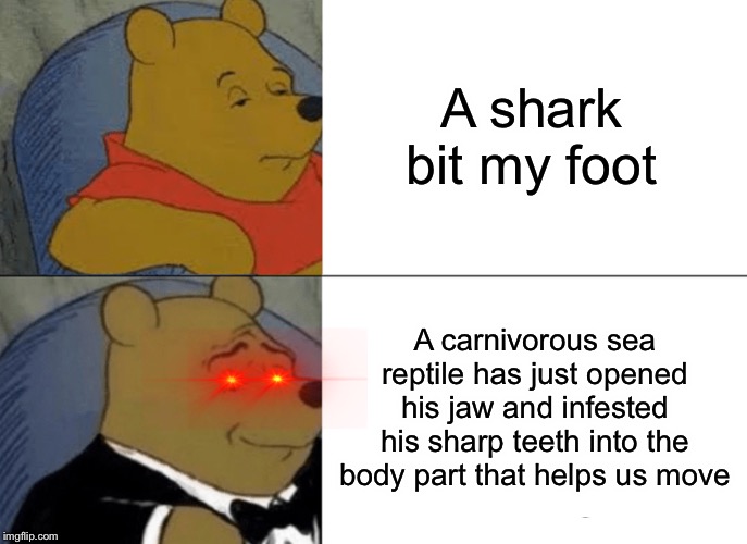 Tuxedo Winnie The Pooh Meme | A shark bit my foot; A carnivorous sea reptile has just opened his jaw and infested his sharp teeth into the body part that helps us move | image tagged in memes,tuxedo winnie the pooh | made w/ Imgflip meme maker