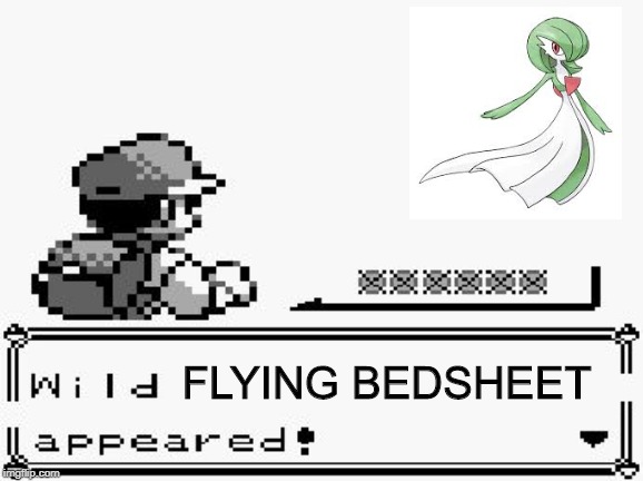 pokemon appears | FLYING BEDSHEET | image tagged in pokemon appears | made w/ Imgflip meme maker