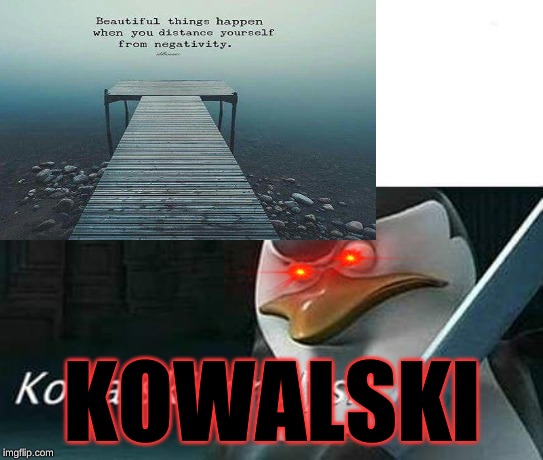 KOWALSKI | image tagged in kowalski analysis | made w/ Imgflip meme maker