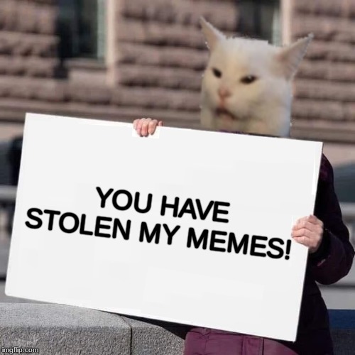 A Cat Named Greta | YOU HAVE STOLEN MY MEMES! | image tagged in kitteh thurnberg,greta thunberg,stolen memes,how dare you,greta thunberg how dare you,what if i told you | made w/ Imgflip meme maker