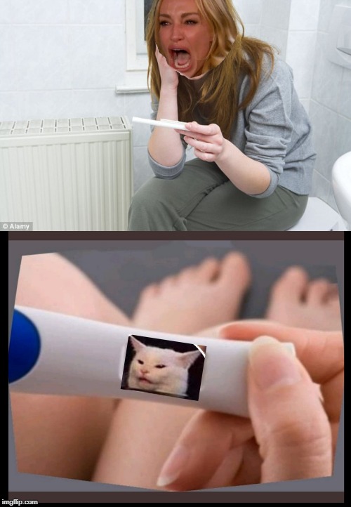 WTF? | image tagged in pregnancy test,pregnancy test blank,memes,woman yelling at cat,wtf | made w/ Imgflip meme maker