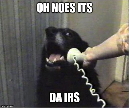 Yes this is dog | OH NOES ITS; DA IRS | image tagged in yes this is dog | made w/ Imgflip meme maker