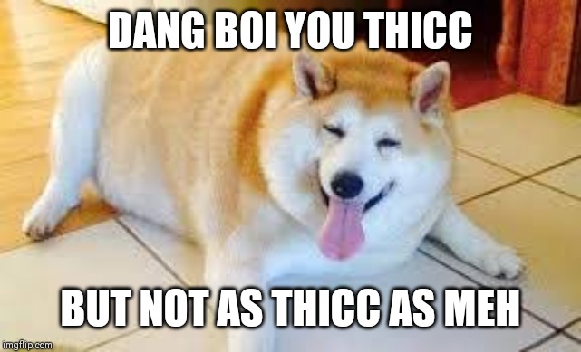 Thicc Doggo | DANG BOI YOU THICC; BUT NOT AS THICC AS MEH | image tagged in thicc doggo | made w/ Imgflip meme maker