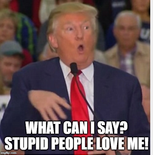 Donald Trump tho | WHAT CAN I SAY? STUPID PEOPLE LOVE ME! | image tagged in donald trump tho | made w/ Imgflip meme maker