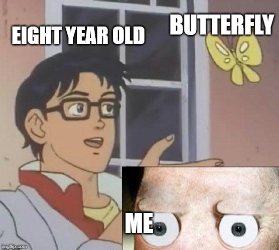 Eight year olds be like. | BUTTERFLY; EIGHT YEAR OLD; ME | image tagged in stupid | made w/ Imgflip meme maker