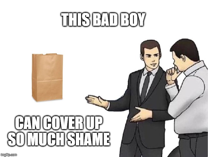 Car Salesman Slaps Hood Meme | THIS BAD BOY; CAN COVER UP SO MUCH SHAME | image tagged in memes,car salesman slaps hood | made w/ Imgflip meme maker