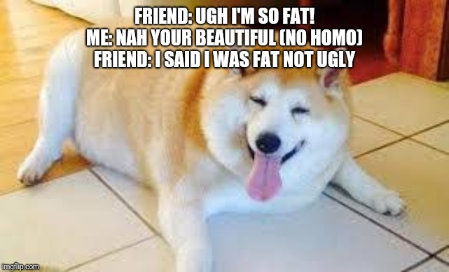 Thicc Doggo |  FRIEND: UGH I'M SO FAT!
ME: NAH YOUR BEAUTIFUL (NO HOMO)
FRIEND: I SAID I WAS FAT NOT UGLY | image tagged in thicc doggo | made w/ Imgflip meme maker