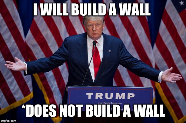 Donald trump meme | I WILL BUILD A WALL; *DOES NOT BUILD A WALL | image tagged in donald trump | made w/ Imgflip meme maker