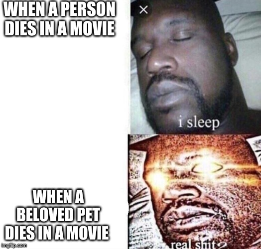 i sleep real shit | WHEN A PERSON DIES IN A MOVIE; WHEN A BELOVED PET DIES IN A MOVIE | image tagged in i sleep real shit | made w/ Imgflip meme maker