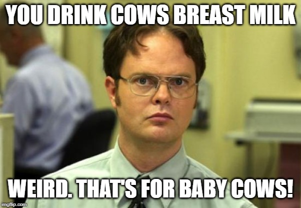 Dwight Schrute Meme | YOU DRINK COWS BREAST MILK; WEIRD. THAT'S FOR BABY COWS! | image tagged in memes,dwight schrute | made w/ Imgflip meme maker