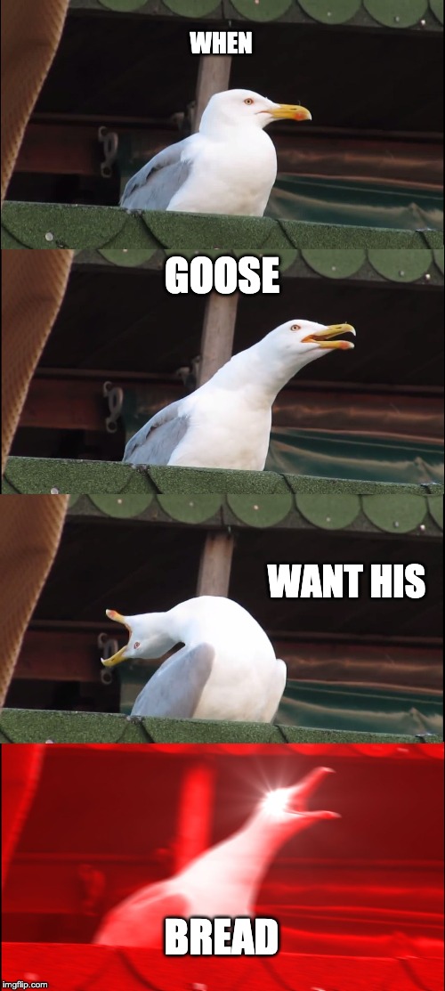 Inhaling Seagull | WHEN; GOOSE; WANT HIS; BREAD | image tagged in memes,inhaling seagull | made w/ Imgflip meme maker