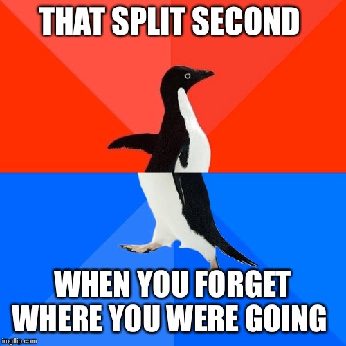 Socially Awesome Awkward Penguin | THAT SPLIT SECOND; WHEN YOU FORGET WHERE YOU WERE GOING | image tagged in memes,socially awesome awkward penguin | made w/ Imgflip meme maker