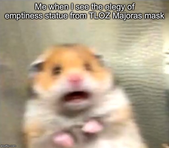 Scared Hamster | Me when I see the elegy of emptiness statue from TLOZ Majoras mask | image tagged in scared hamster | made w/ Imgflip meme maker
