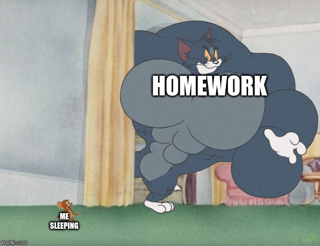Buff Tom and Jerry Meme Template | HOMEWORK; ME SLEEPING | image tagged in buff tom and jerry meme template | made w/ Imgflip meme maker