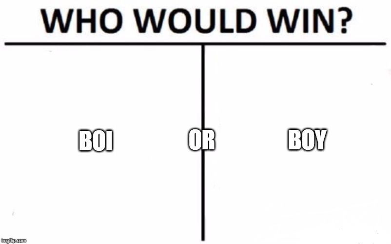 Who Would Win? Meme | BOI OR                 BOY | image tagged in memes,who would win | made w/ Imgflip meme maker