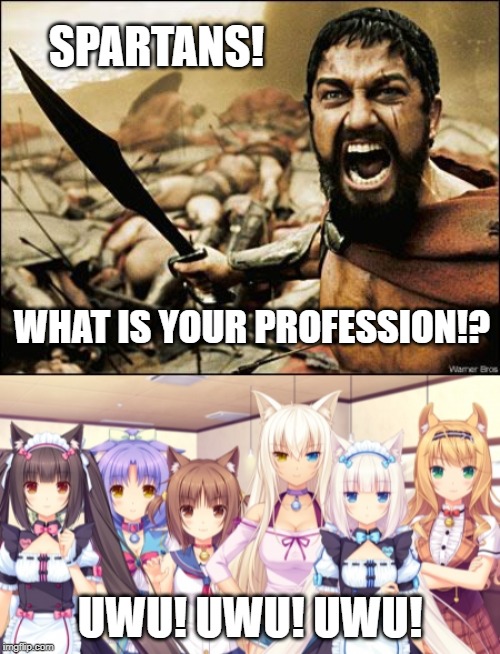 SPARTANS! WHAT IS YOUR PROFESSION!? UWU! UWU! UWU! | image tagged in spartan leonidas | made w/ Imgflip meme maker