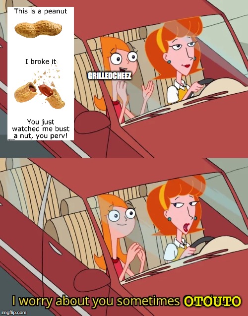 I worry about you sometimes Candace | GRILLEDCHEEZ; OTOUTO | image tagged in i worry about you sometimes candace | made w/ Imgflip meme maker