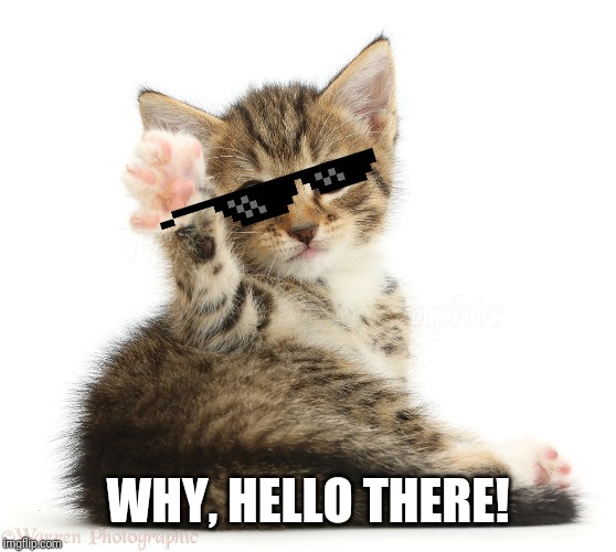 waving | WHY, HELLO THERE! | image tagged in waving | made w/ Imgflip meme maker
