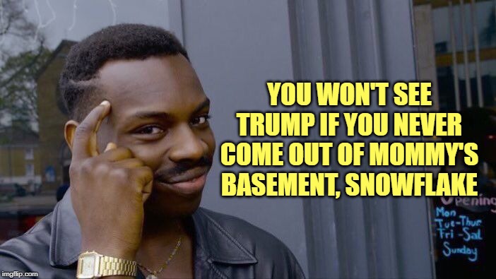 Roll Safe Think About It Meme | YOU WON'T SEE TRUMP IF YOU NEVER COME OUT OF MOMMY'S BASEMENT, SNOWFLAKE | image tagged in memes,roll safe think about it | made w/ Imgflip meme maker