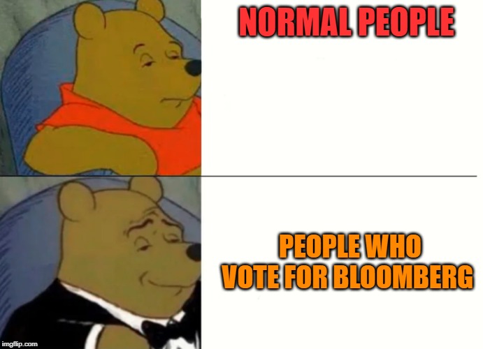 Fancy Winnie The Pooh Meme | NORMAL PEOPLE PEOPLE WHO VOTE FOR BLOOMBERG | image tagged in fancy winnie the pooh meme | made w/ Imgflip meme maker