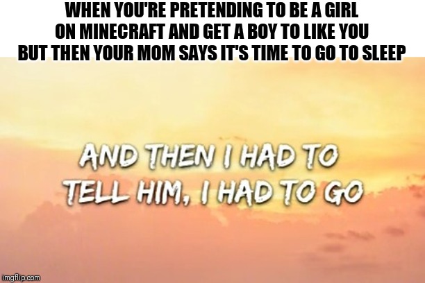 Then I had to tell him | WHEN YOU'RE PRETENDING TO BE A GIRL ON MINECRAFT AND GET A BOY TO LIKE YOU BUT THEN YOUR MOM SAYS IT'S TIME TO GO TO SLEEP | image tagged in then i had to tell him | made w/ Imgflip meme maker