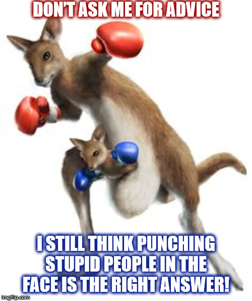 ADVICE ABOUT STUPID PEOPLE | DON’T ASK ME FOR ADVICE; I STILL THINK PUNCHING STUPID PEOPLE IN THE FACE IS THE RIGHT ANSWER! | image tagged in advice,stupid people,kangaroo,boxing,punch,ask | made w/ Imgflip meme maker