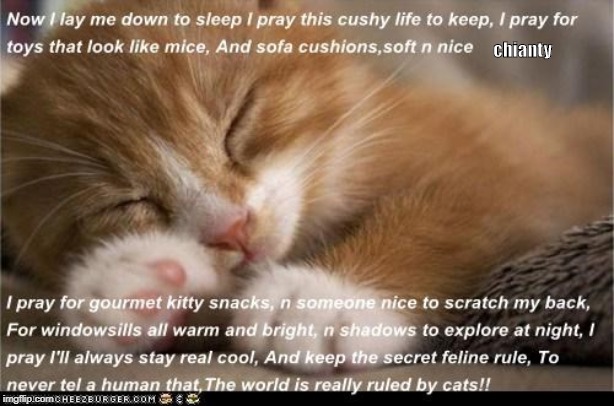 Kitty's | chianty | image tagged in prayer | made w/ Imgflip meme maker