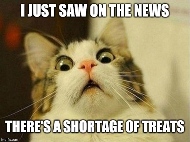 Scared Cat | I JUST SAW ON THE NEWS; THERE'S A SHORTAGE OF TREATS | image tagged in memes,scared cat | made w/ Imgflip meme maker